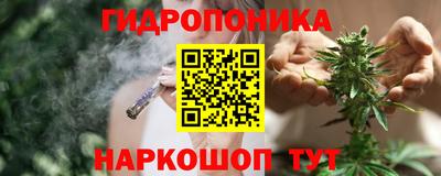 наркотики Сланцы
