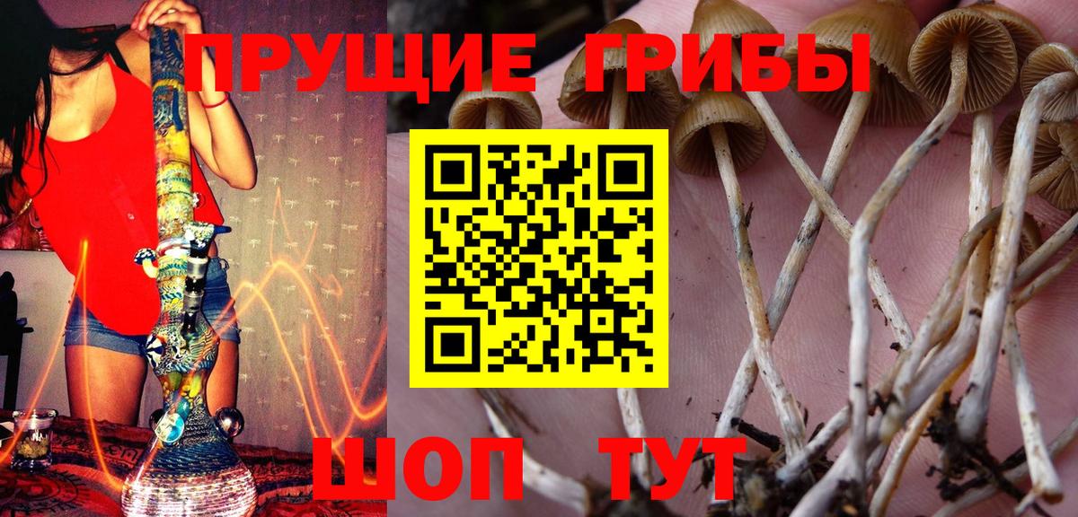 Галлюциногенные грибы GOLDEN TEACHER  Вход с VPN  Сафоново 